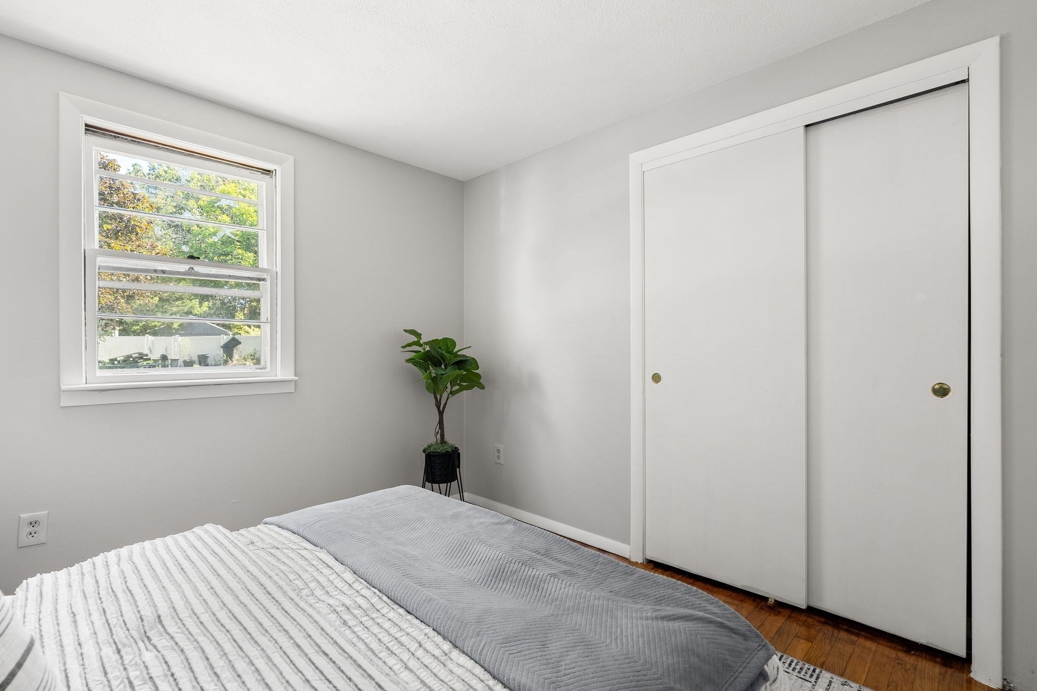 15 Bradford St, Stoughton, MA, 15 Bradford St, Stoughton, MA Photo #22