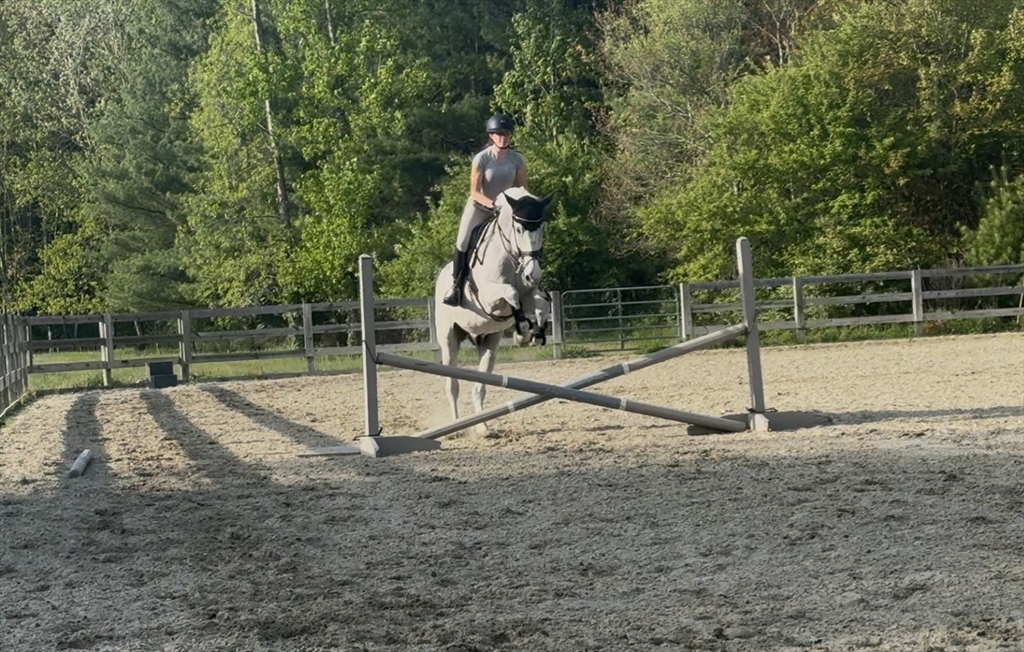 3 Shining Valley Cir