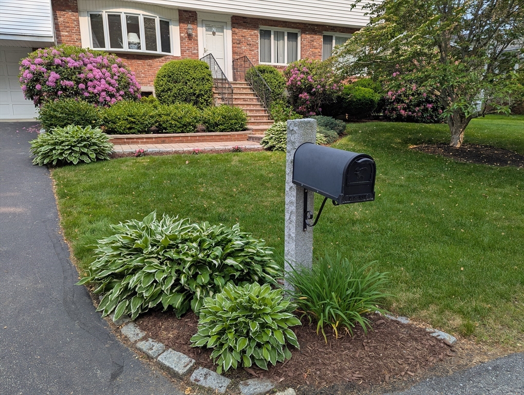 9 Stephanie St