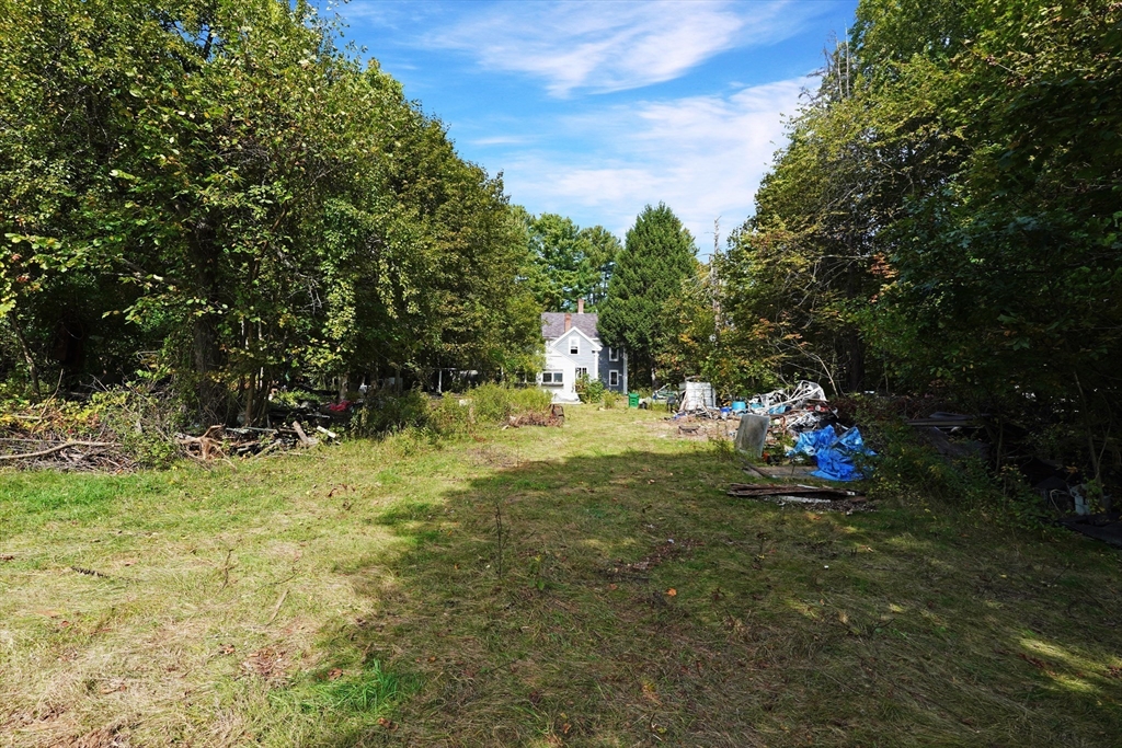 9 Olive St