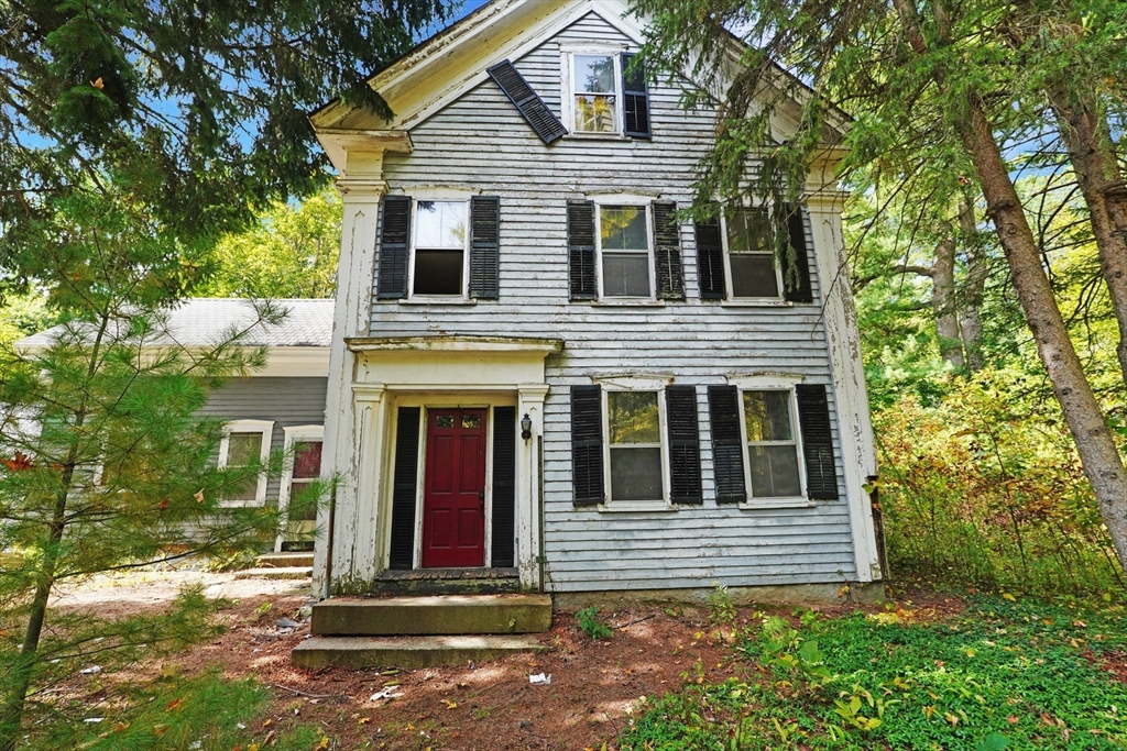9 Olive St