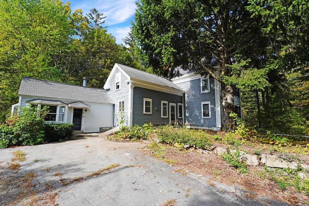 9 Olive St