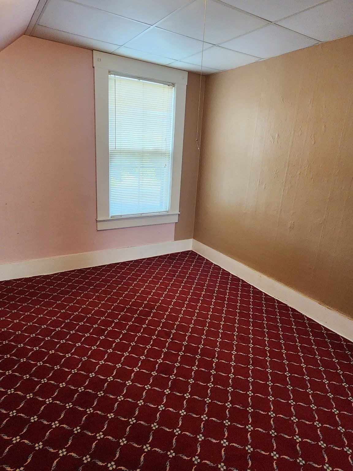 37 Barclay Street, Lowell, MA Photo #28