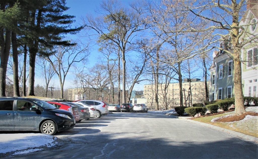 10 Cedar Street 27