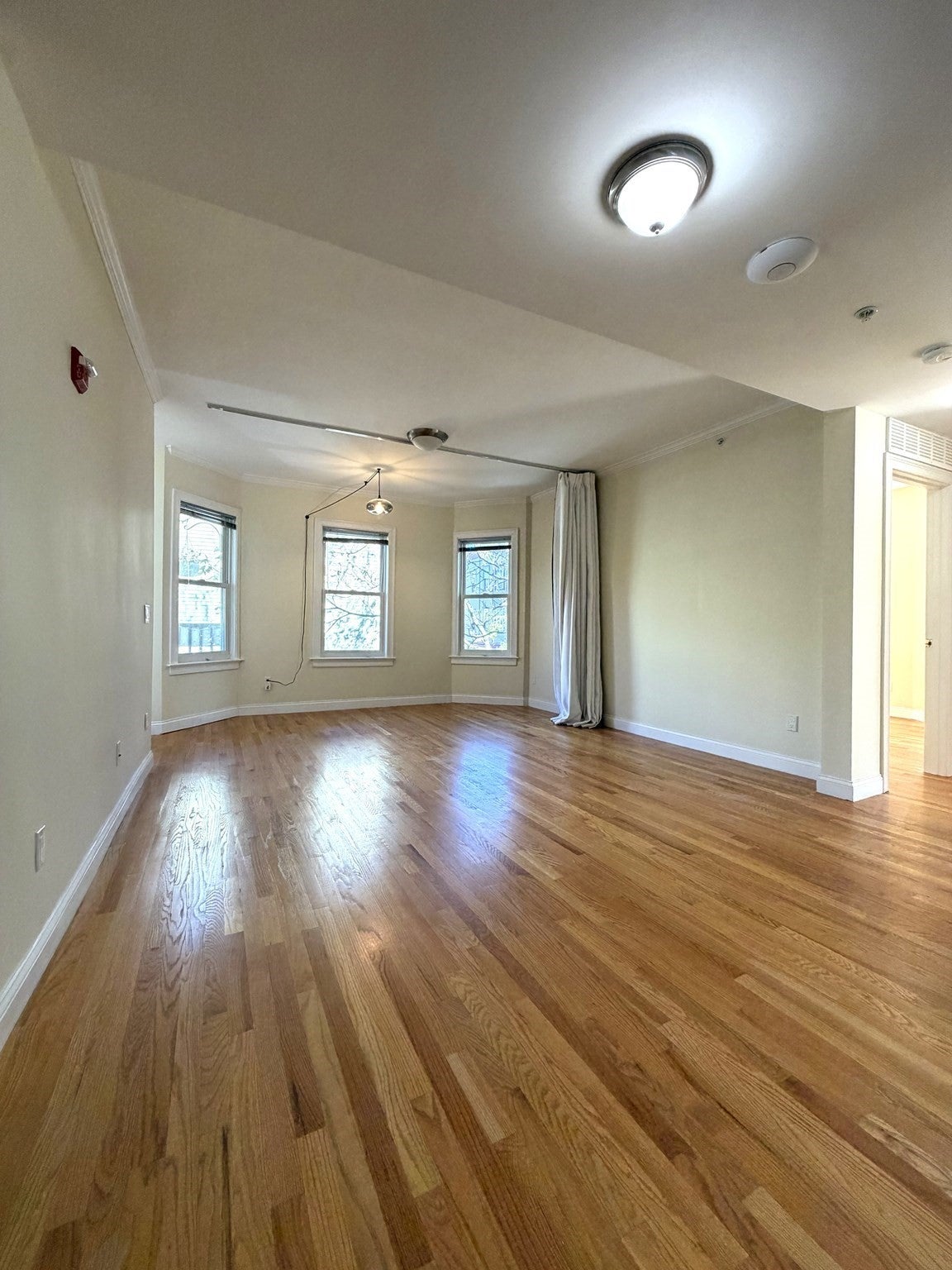 81 Pine St #3, Cambridge, MA Photo #8