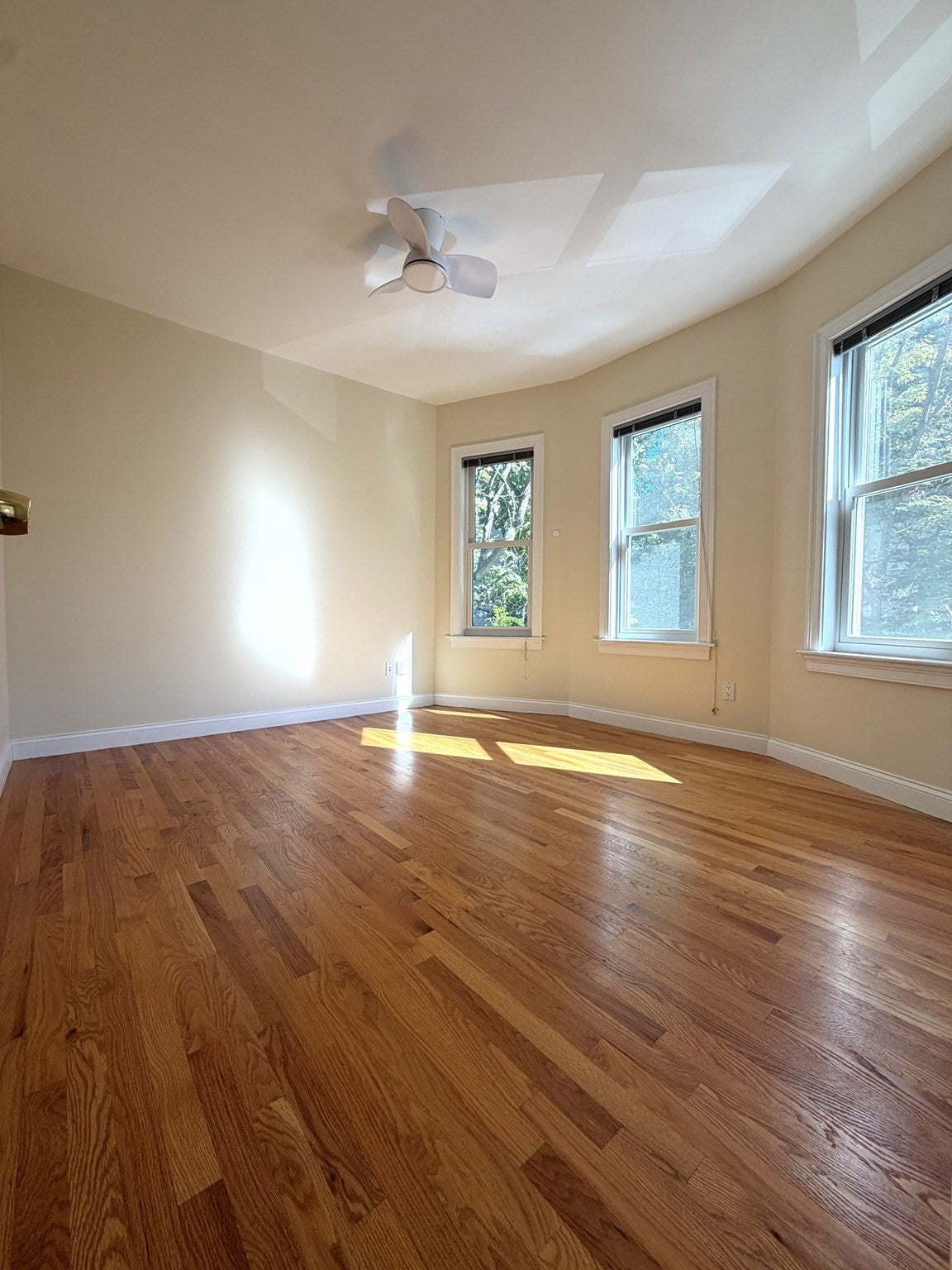 81 Pine St #3, Cambridge, MA Photo #11