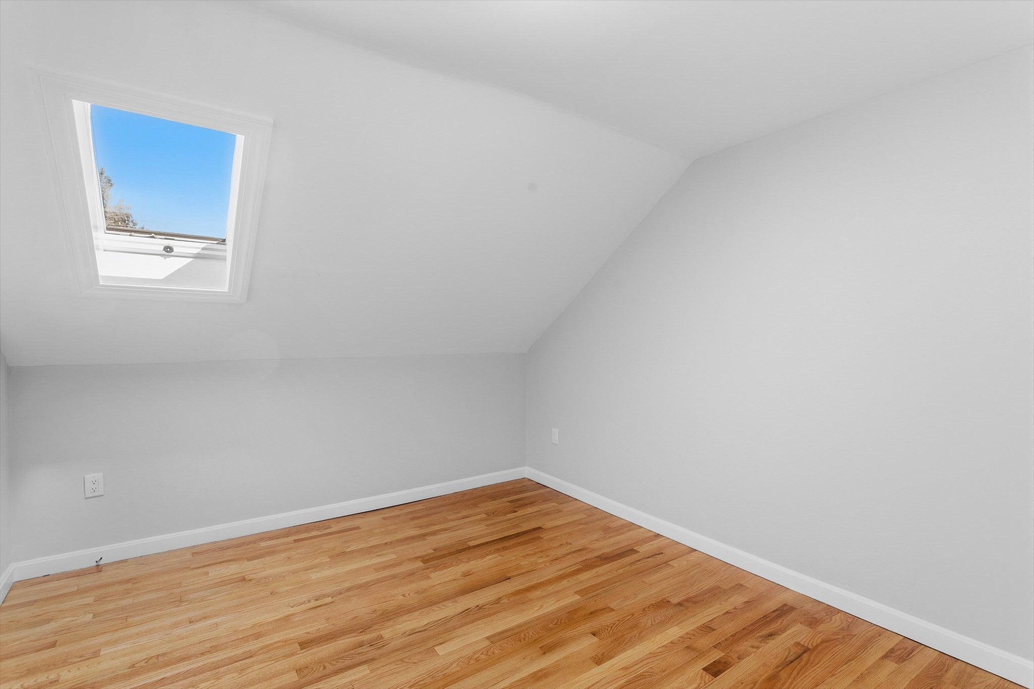 28 Windsor St, Everett, MA, 28 Windsor St, Everett, MA Photo #30
