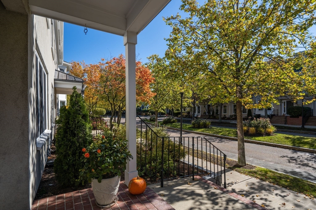 6 Tilden Commons Dr 6