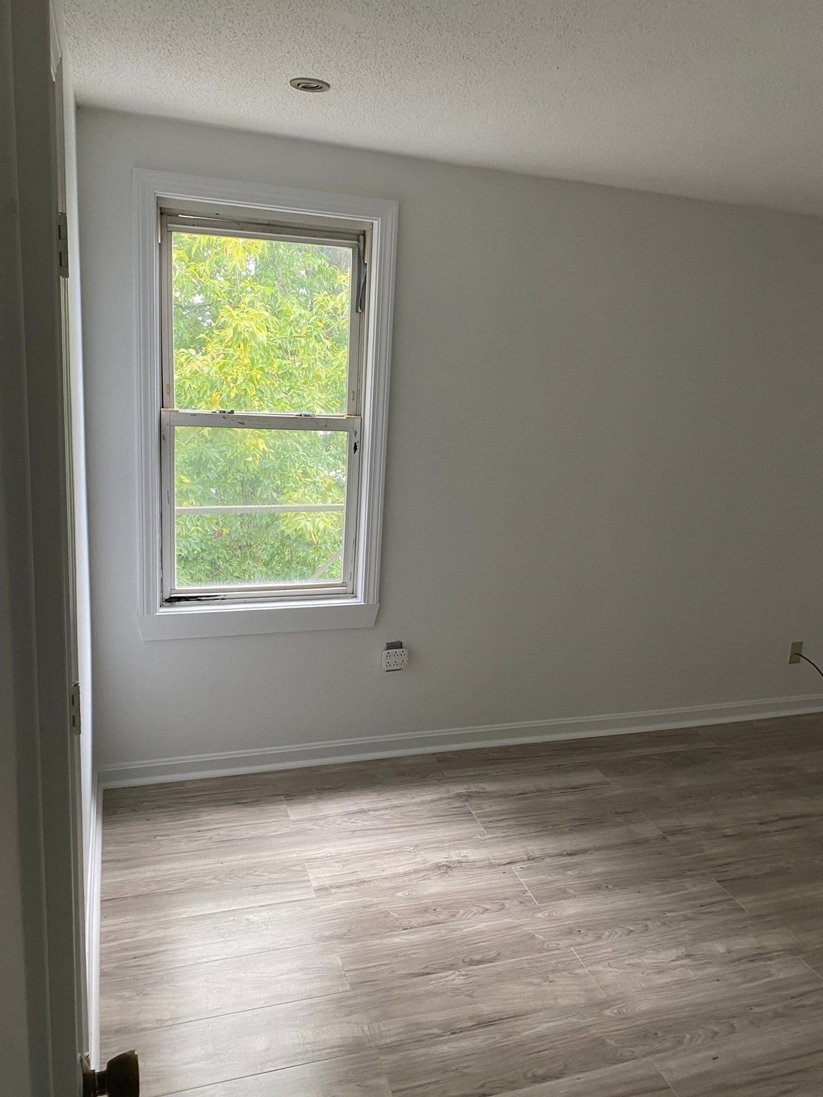 177 Nashua Street #6, Fall River, MA, 177 Nashua Street #6, Fall River, MA Photo #7