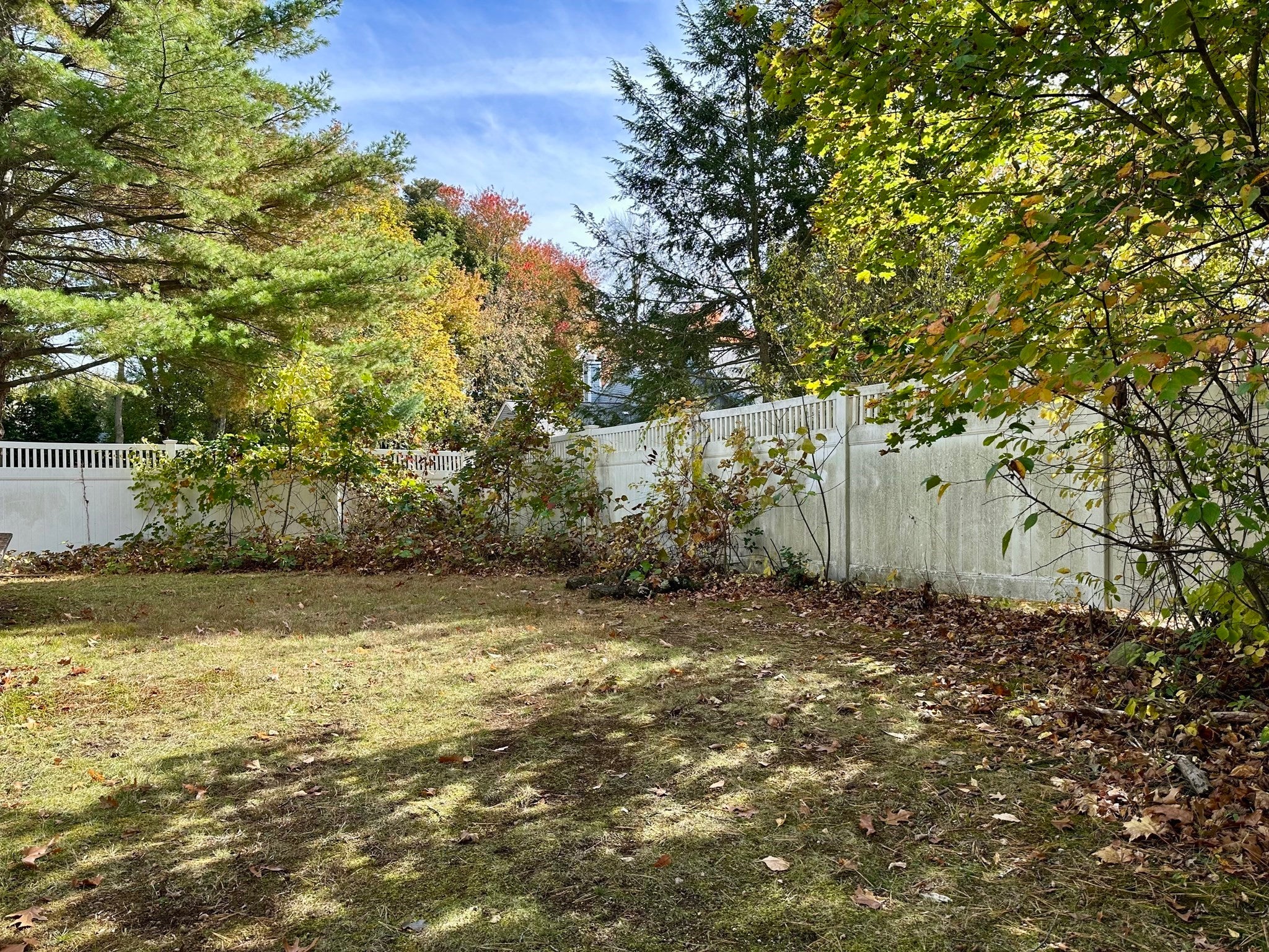 42 Wilson Street, Norwood, MA, 42 Wilson Street, Norwood, MA Photo #8