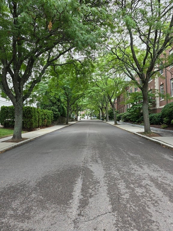 216 Summit Ave E-201, Brookline, MA, 216 Summit Ave E-201, Brookline, MA Photo #3