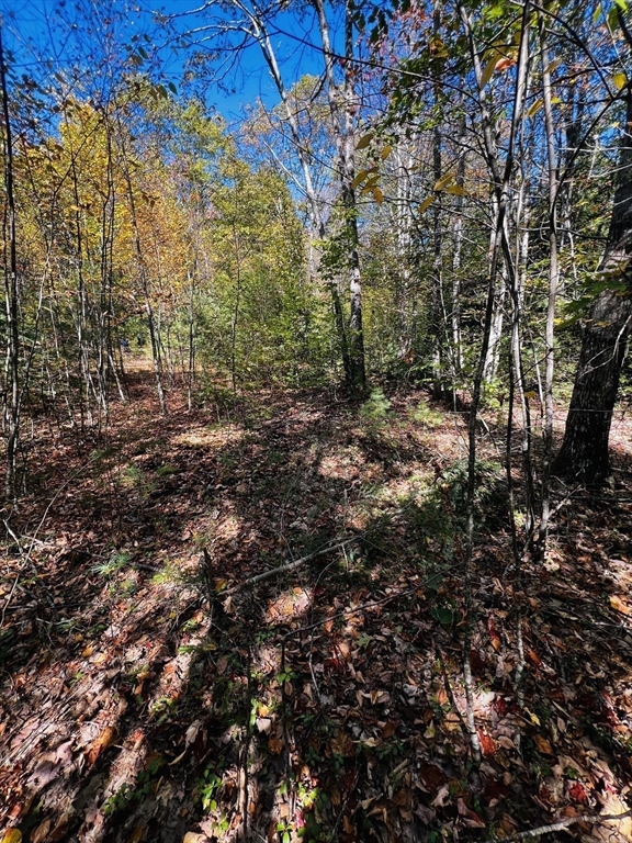 Map 408 39-1 Bullock Road