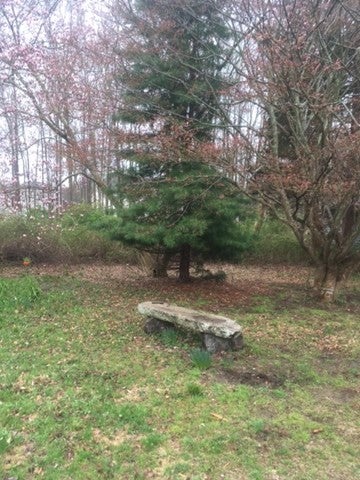 434 Hixville Rd, Dartmouth, MA, 434 Hixville Rd, Dartmouth, MA Photo #4
