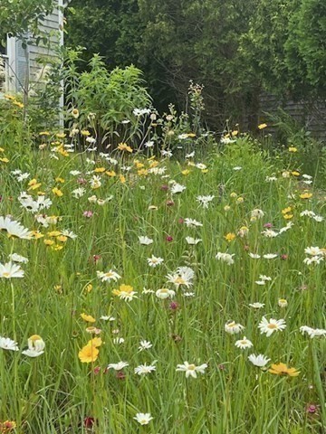 Marion, Massachusetts 02738, United States, 4 Bedrooms Bedrooms, ,2 BathroomsBathrooms,Residential,Active,240804