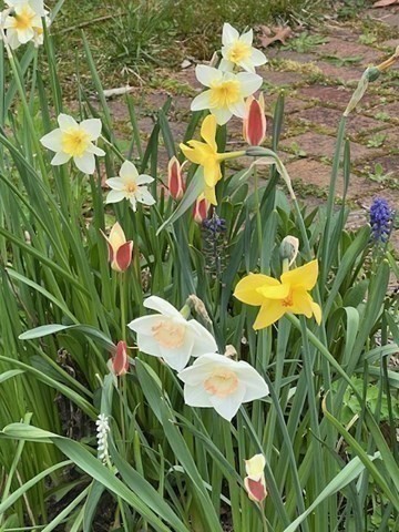 Marion, Massachusetts 02738, United States, 4 Bedrooms Bedrooms, ,2 BathroomsBathrooms,Residential,Active,240804