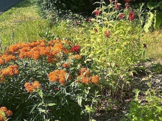 Marion, Massachusetts 02738, United States, 4 Bedrooms Bedrooms, ,2 BathroomsBathrooms,Residential,Active,240804