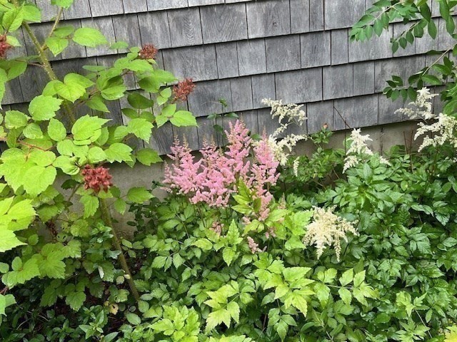 Marion, Massachusetts 02738, United States, 4 Bedrooms Bedrooms, ,2 BathroomsBathrooms,Residential,Active,240804