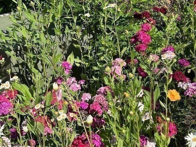 Marion, Massachusetts 02738, United States, 4 Bedrooms Bedrooms, ,2 BathroomsBathrooms,Residential,Active,240804