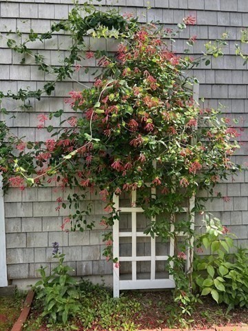 Marion, Massachusetts 02738, United States, 4 Bedrooms Bedrooms, ,2 BathroomsBathrooms,Residential,Active,240804