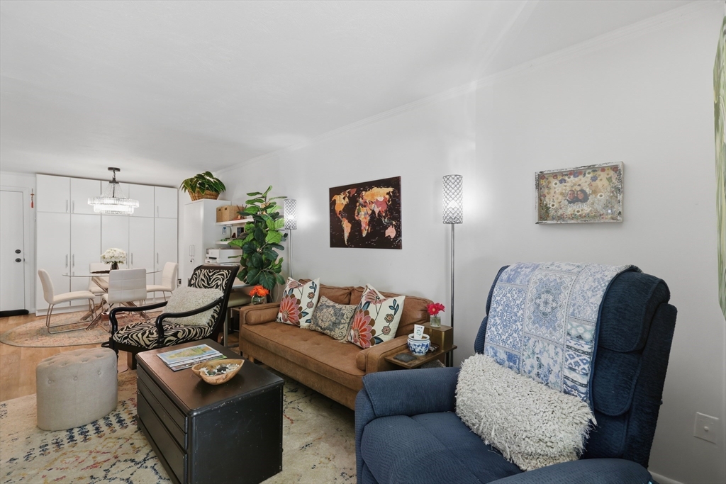 176 Maple Avenue 5-6