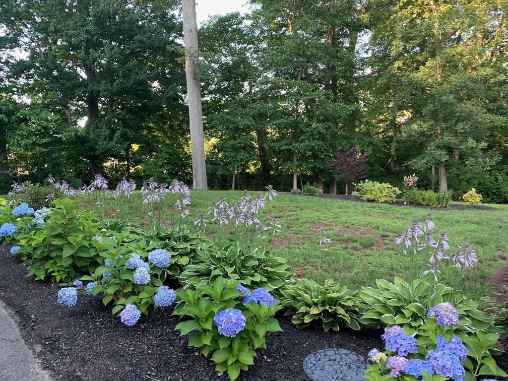3076 County St, Dighton, MA, 3076 County St, Dighton, MA Photo #38