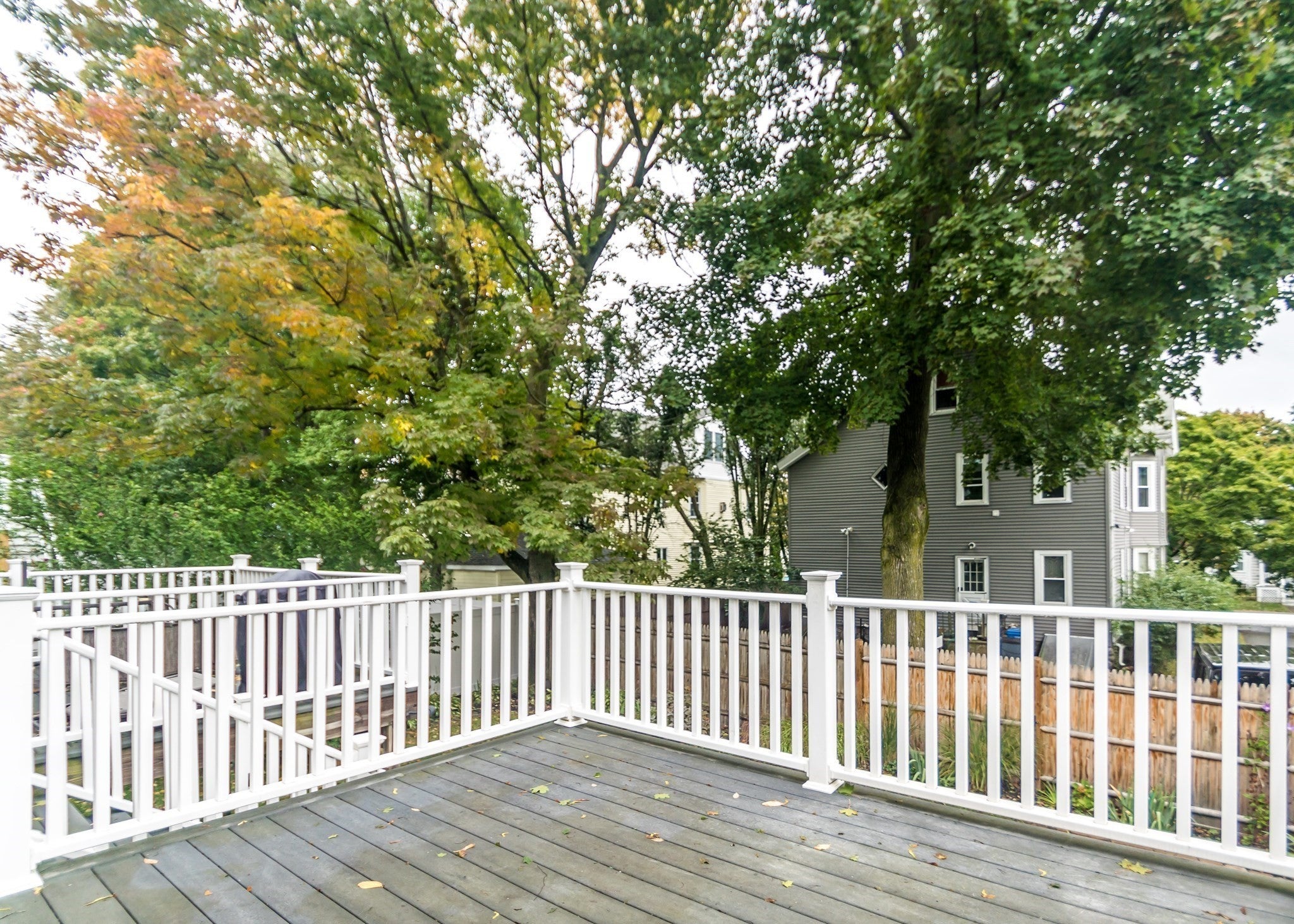 30 Fuller Street #2, Waltham, MA, 30 Fuller Street #2, Waltham, MA Photo #33