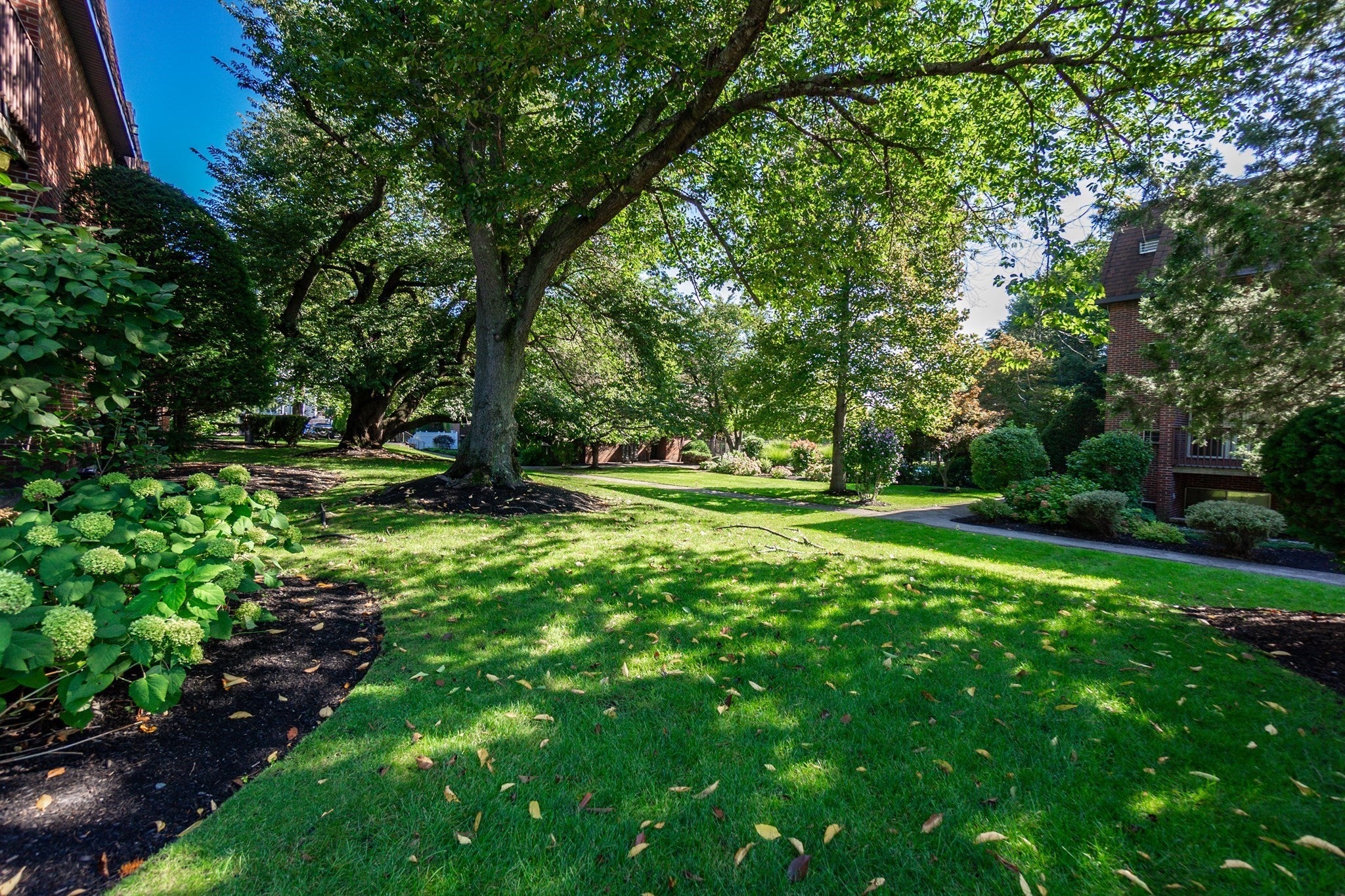 142 Kenrick ST #23, Boston, MA Photo #24