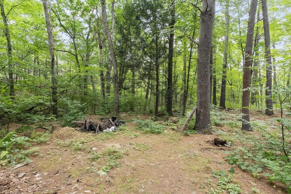37 Swamp RD, Montague, MA Photo #4