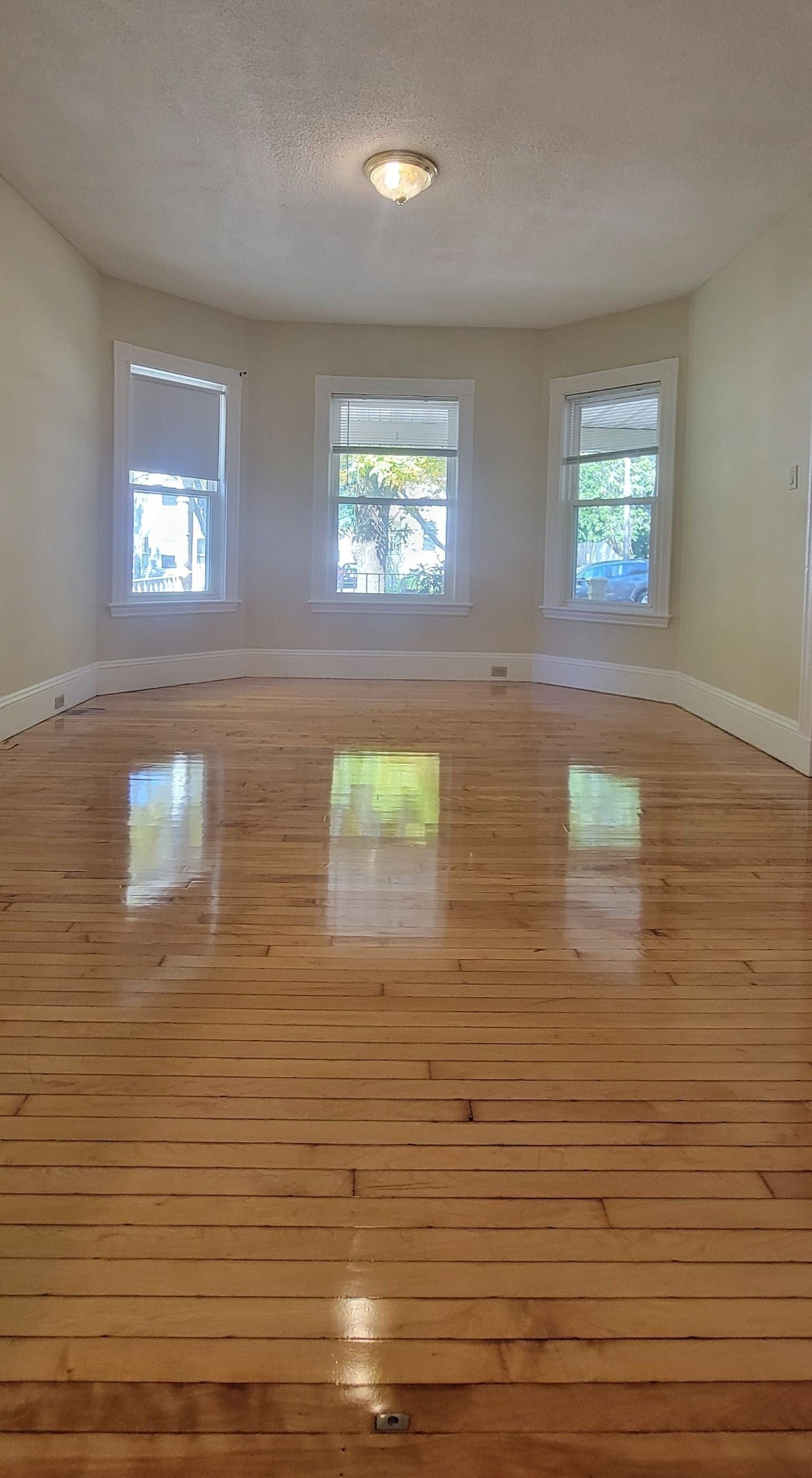 41 Longfellow Street #1, Boston, MA Photo #3