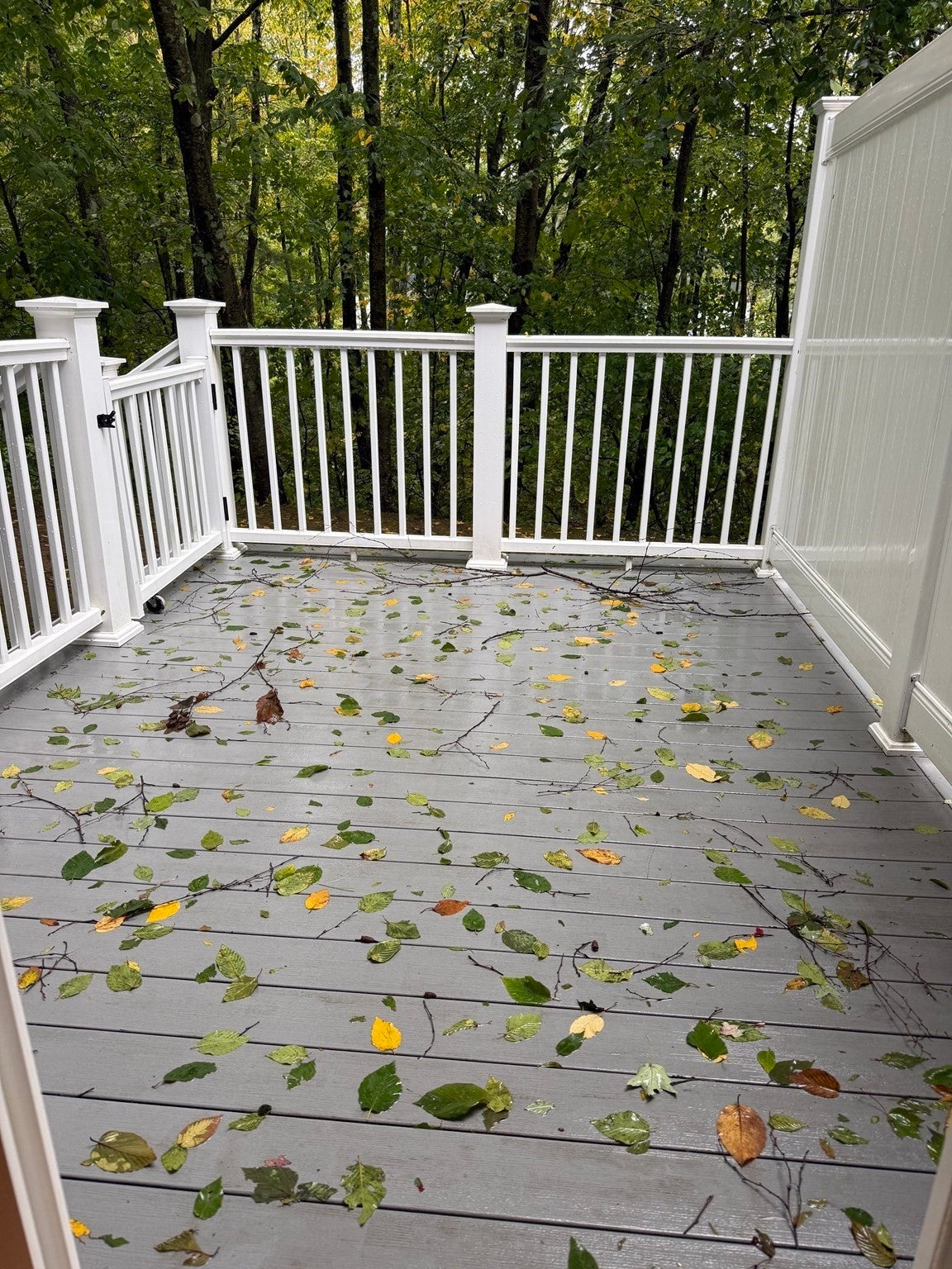 15 Stallbrook Rd #15, Milford, MA, 15 Stallbrook Rd #15, Milford, MA Photo #23