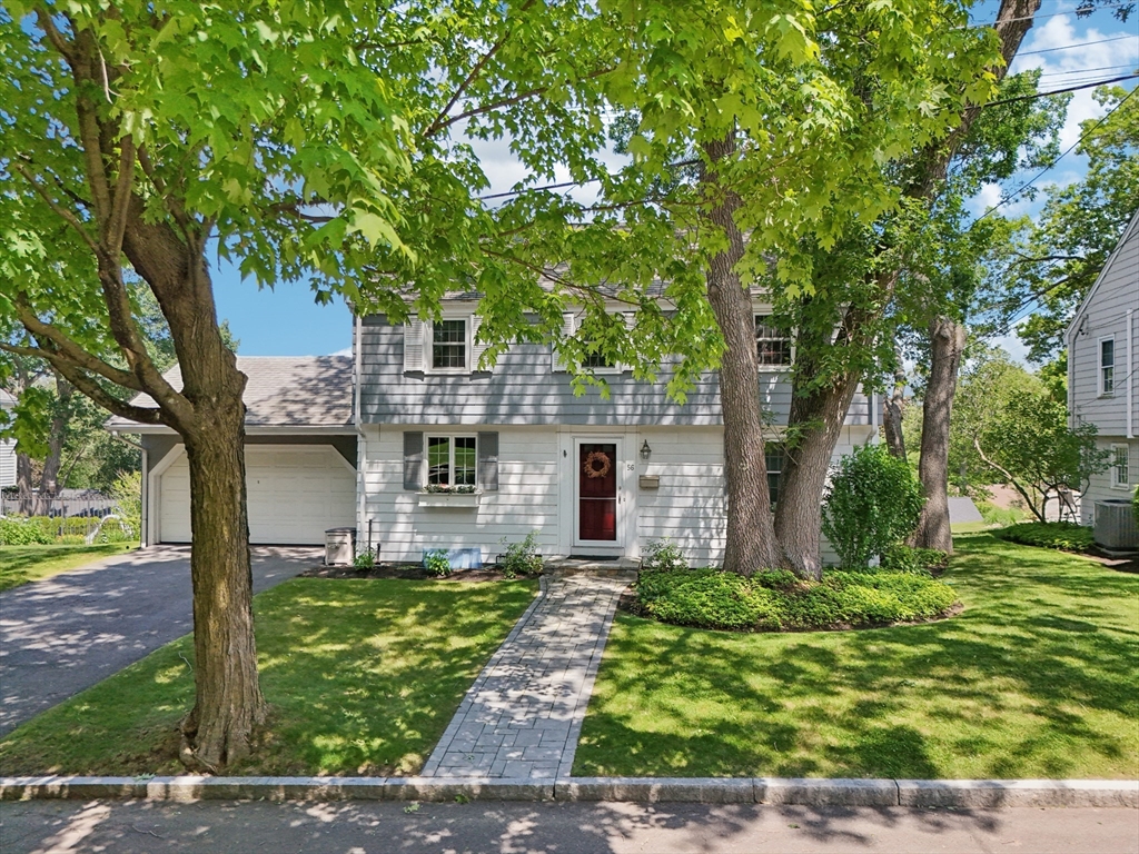 56 Conrad Rd