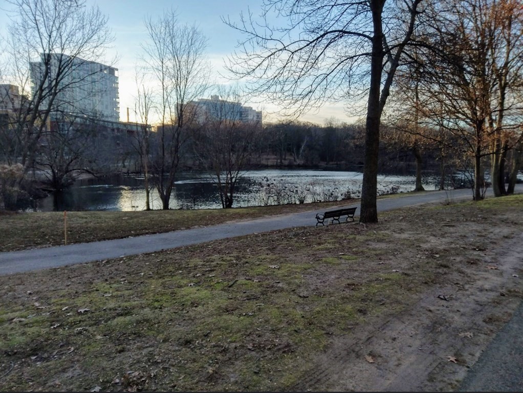 77 Pond Ave #507, Brookline, MA Photo #16