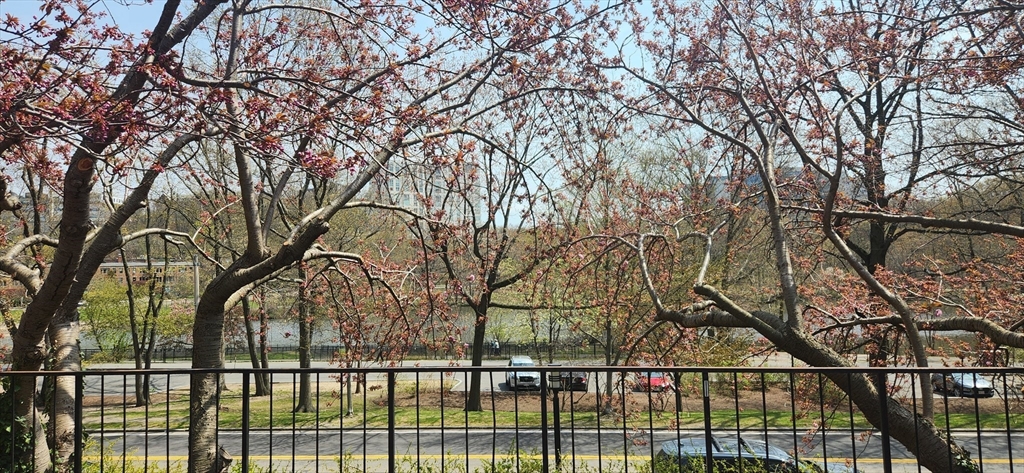 77 Pond Ave #507, Brookline, MA Photo #1