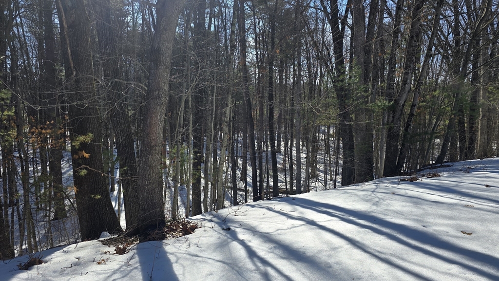 93 Pennacook Drive 93