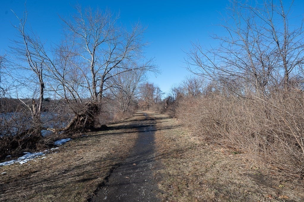 3 Peters Farm Way #107, Westborough, MA, 3 Peters Farm Way #107, Westborough, MA Photo #27