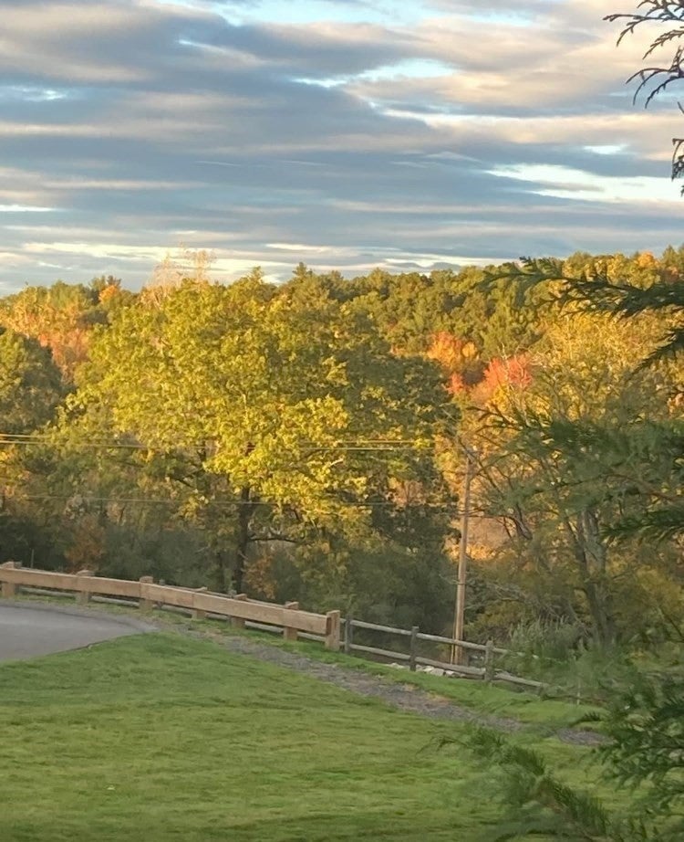3 Peters Farm Way #107, Westborough, MA, 3 Peters Farm Way #107, Westborough, MA Photo #28