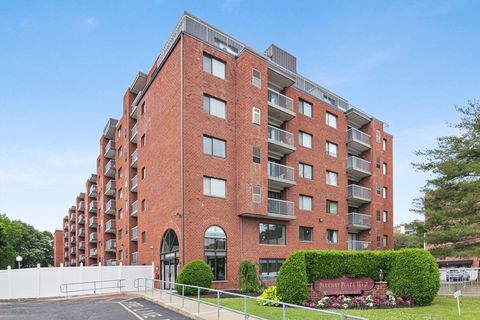 Condominium in Medford MA 8 Ninth St.jpg