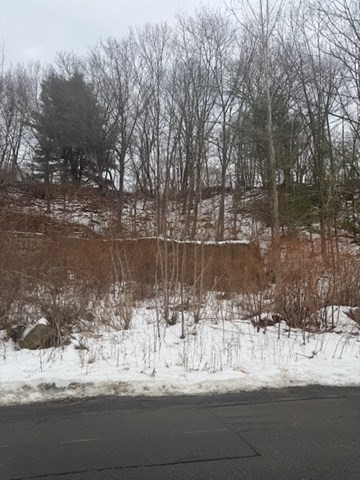 0 Kimball St & 14 Cleghorn St