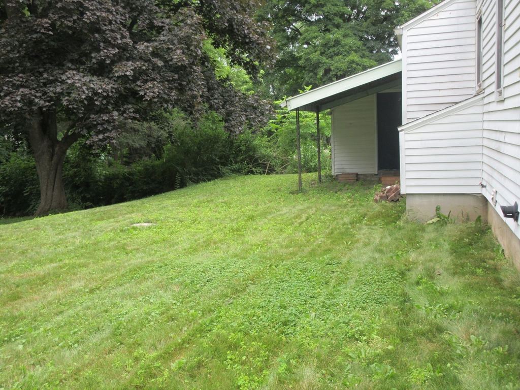 44 Orchardview Street