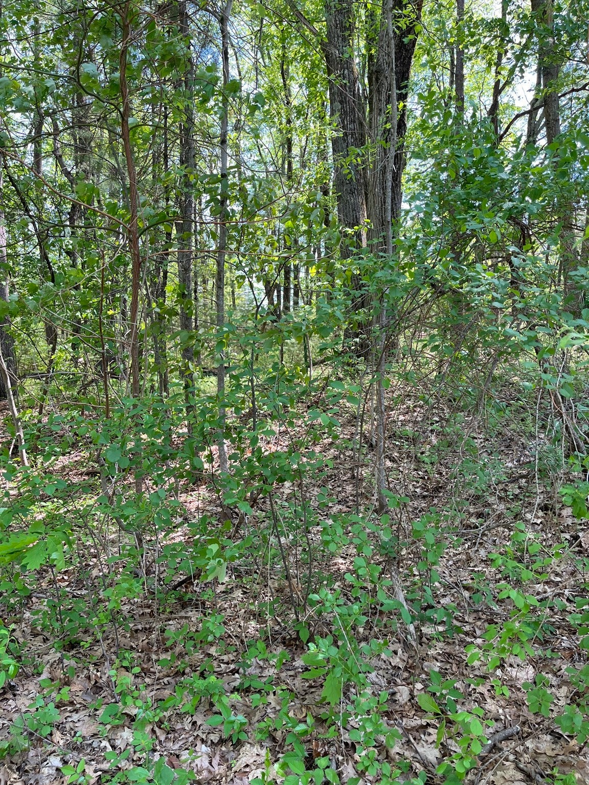Lot A-2 Durkee Lane