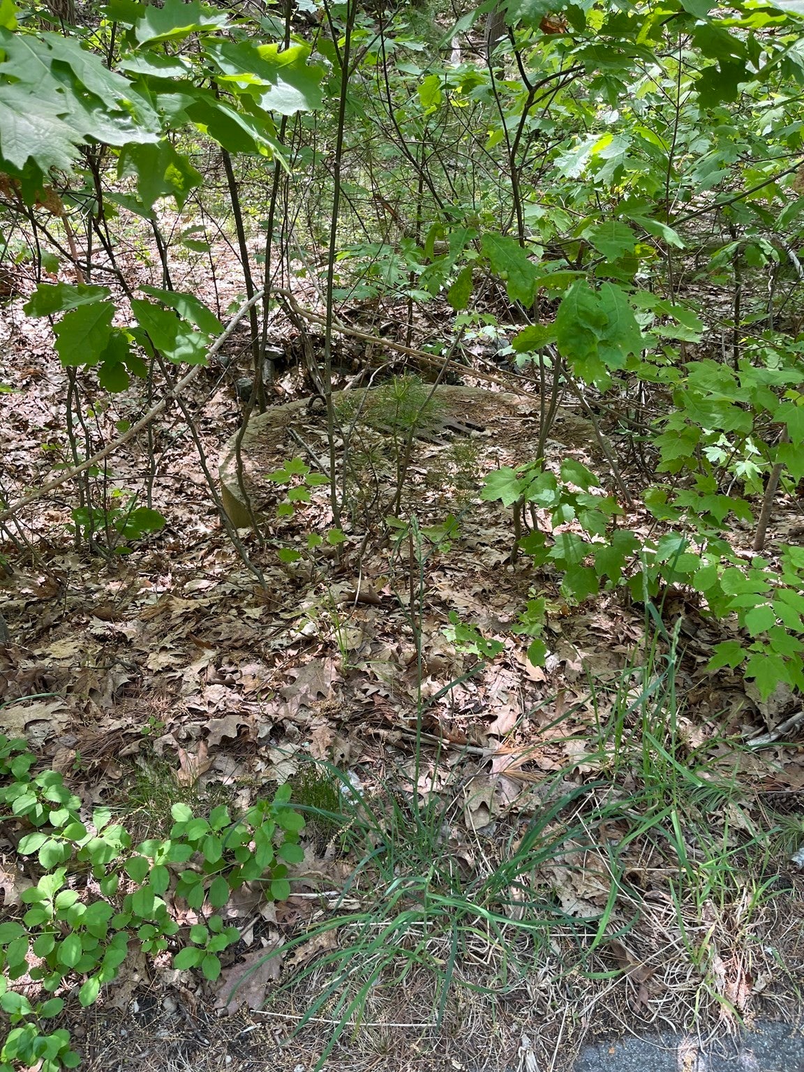 Lot A-2 Durkee Lane