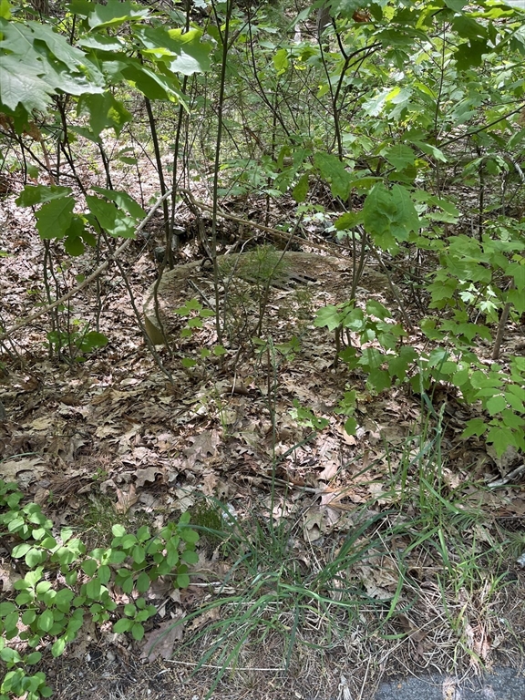 Lot A-2 Durkee Lane