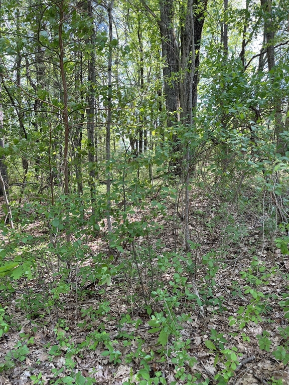 Lot A-2 Durkee Lane