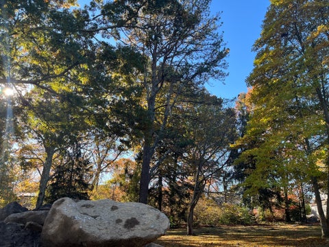 Photo of 0 Stoneledge Road, Dartmouth, MA 02748 (MLS # 73450981)