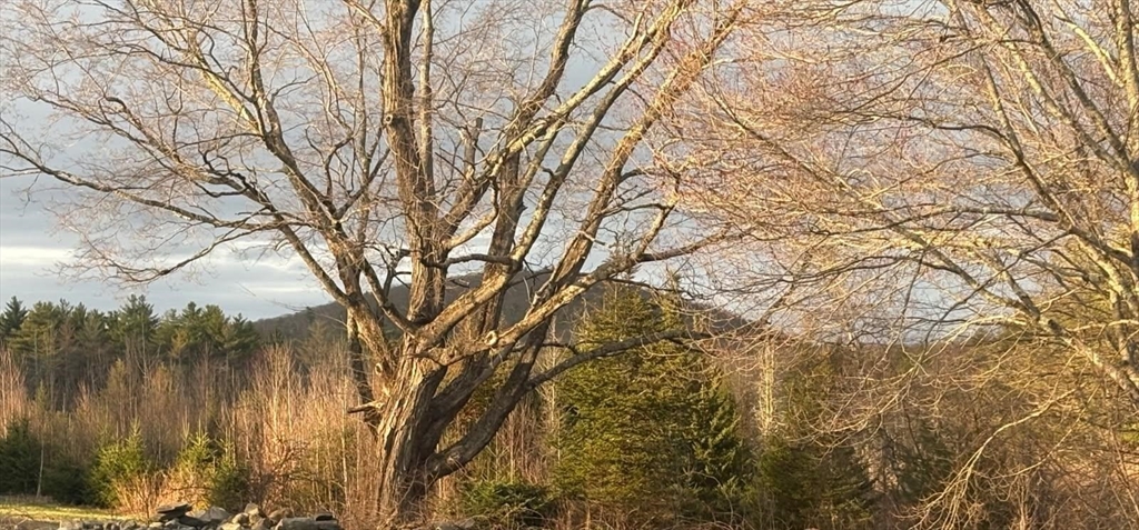 96 Stafford Hollow Rd