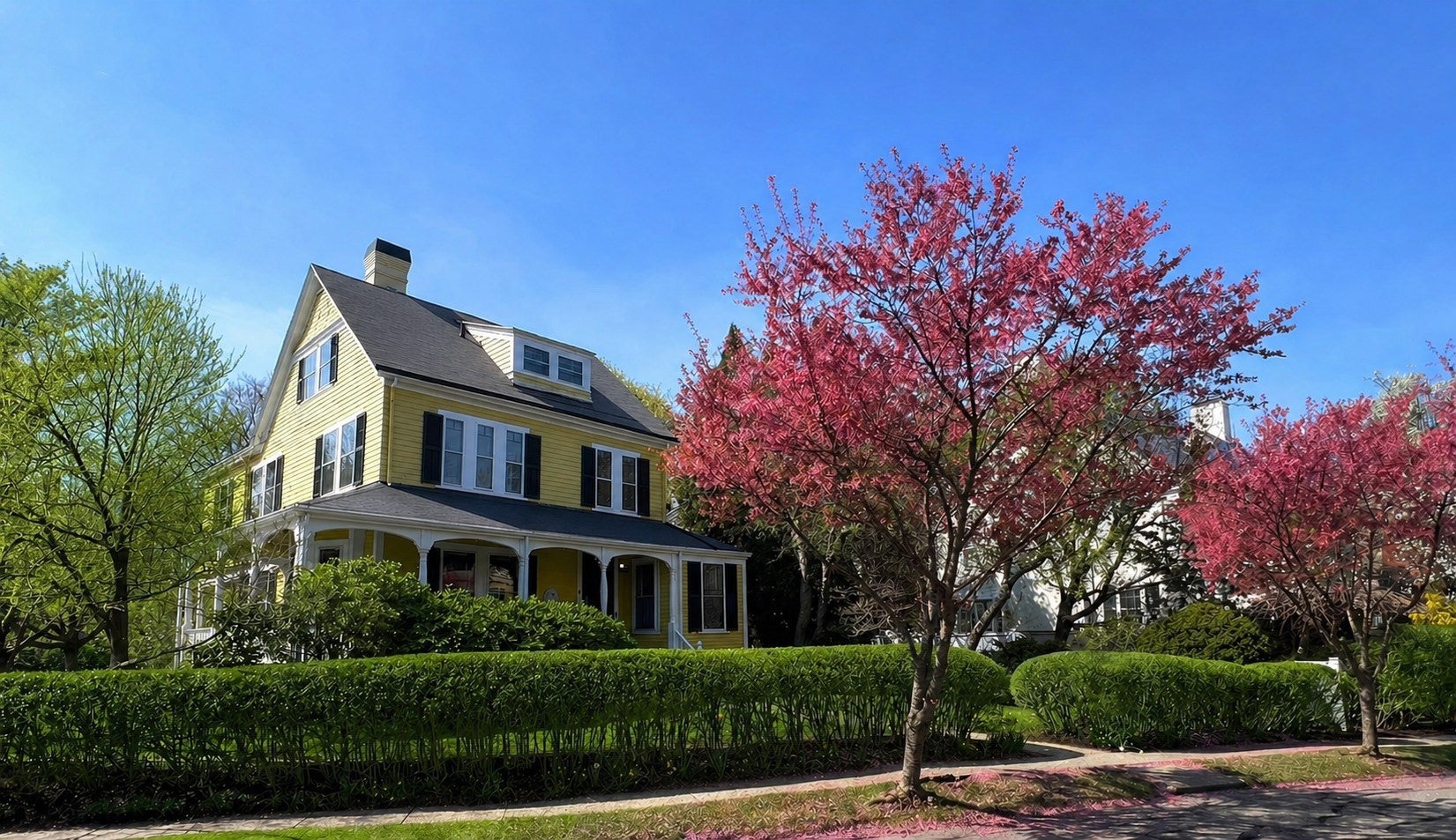 6 Mercer Circle