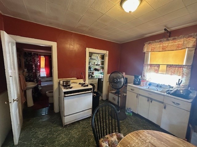 31 Amherst St