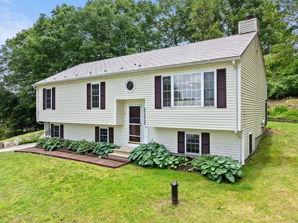 19 Hammond Street
