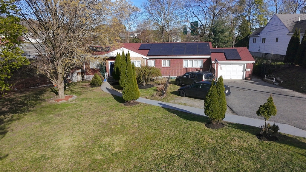 259 Forest St
