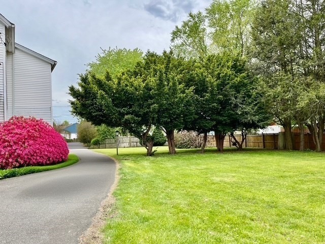 13 Florence St, Chicopee, MA, 13 Florence St, Chicopee, MA Photo #39